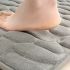 Luxurious Coral Fleece Bathroom Mat – Non-Slip, Absorbent Bath Rug with PVC Backing, Soft & Quick-Dry Washable Carpet for Bathroom Safety & Comfort, Multiple Color Options